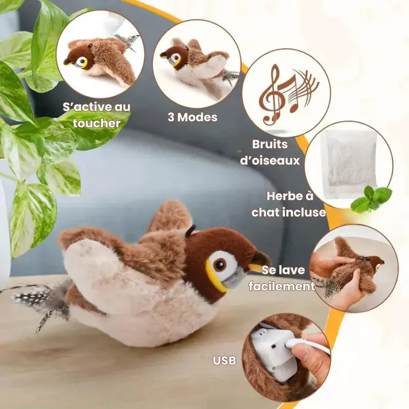 Bird Magique - Jouet pour chat