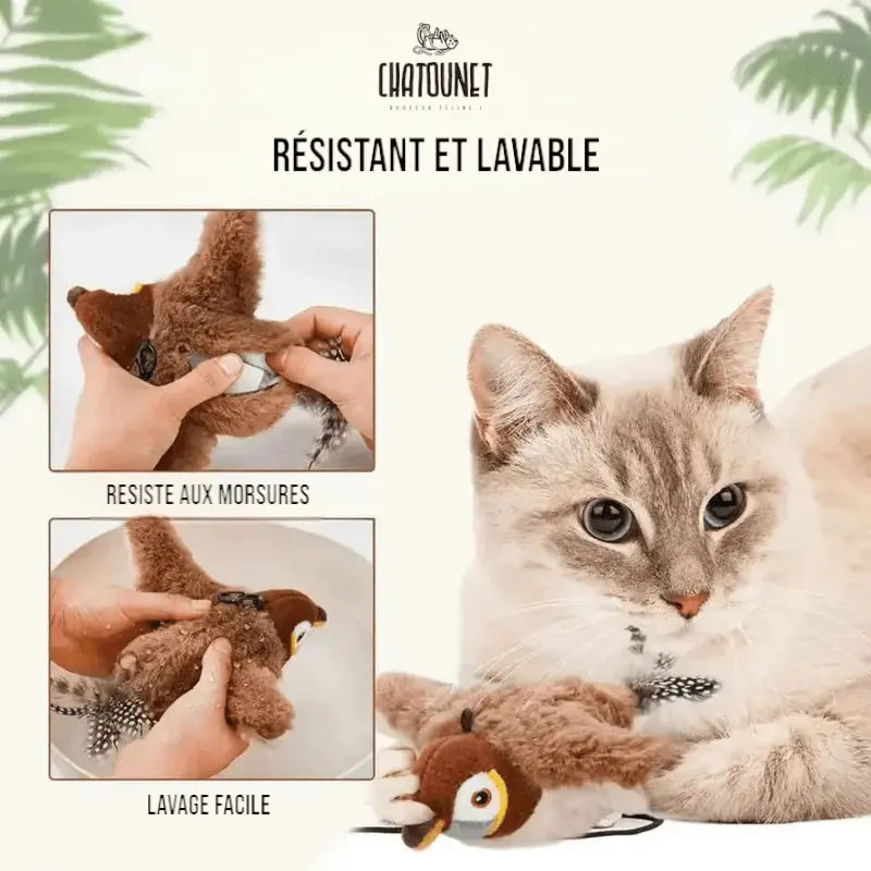 Bird Magique - Jouet pour chat