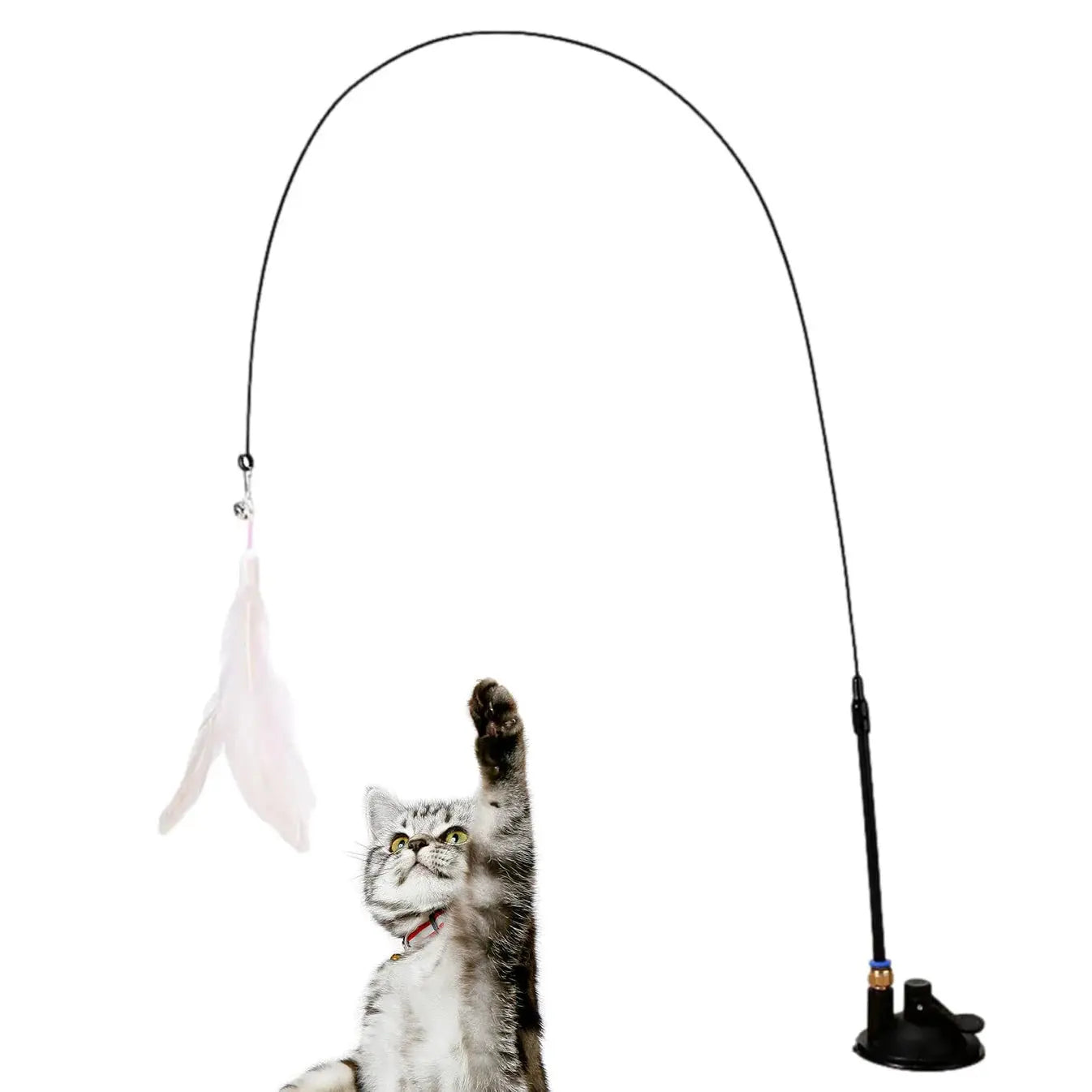 Ventouse Plume Magique - Jouet pour chat My Store