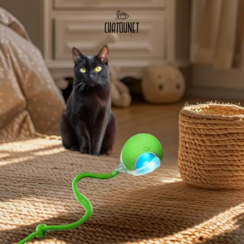 Balle Ronron - Jouet pour chat