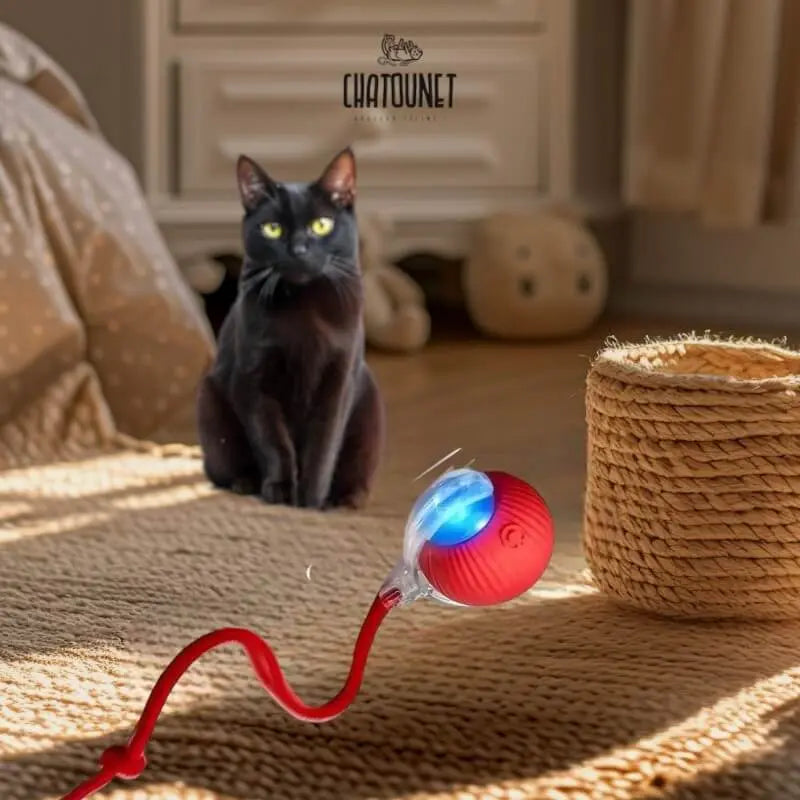 Balle Ronron - Jouet pour chat