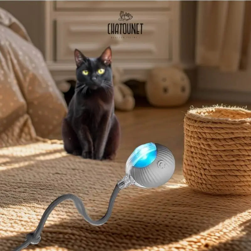 Balle Ronron - Jouet pour chat