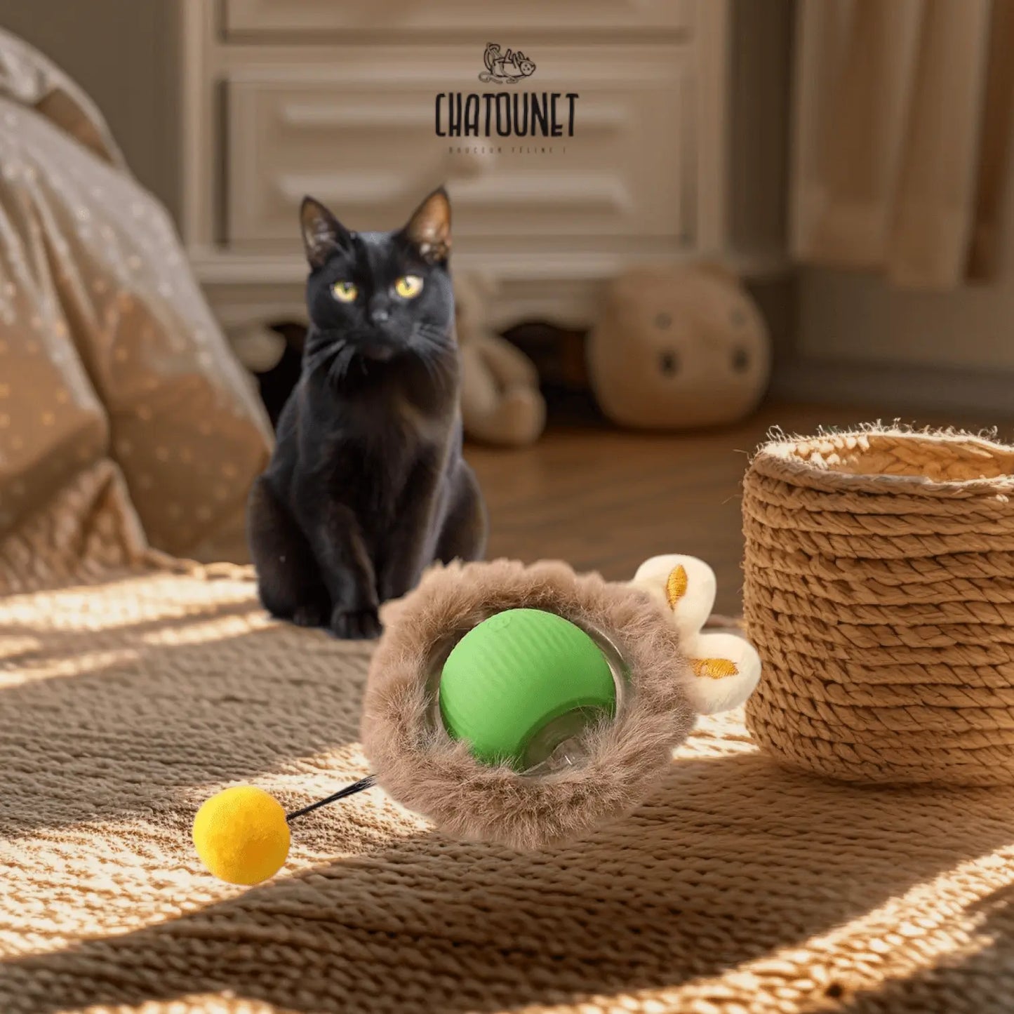Lapiboule - Jouet pour chat